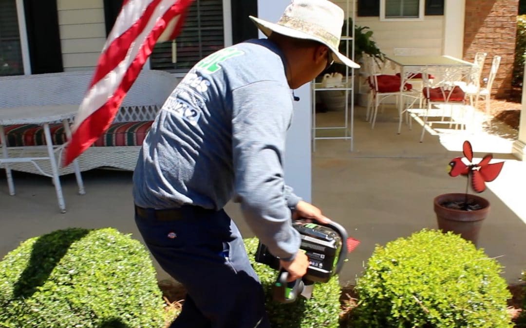 Can Landscapers Save America? – Part 2 – Their Responses 