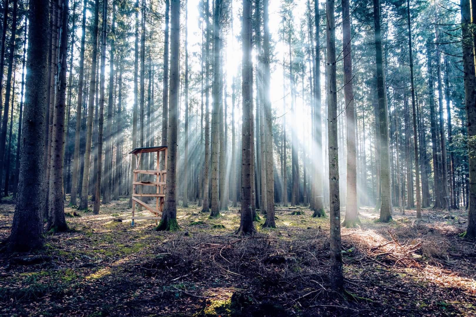 The Problem With Hunting Season for Landscapers
