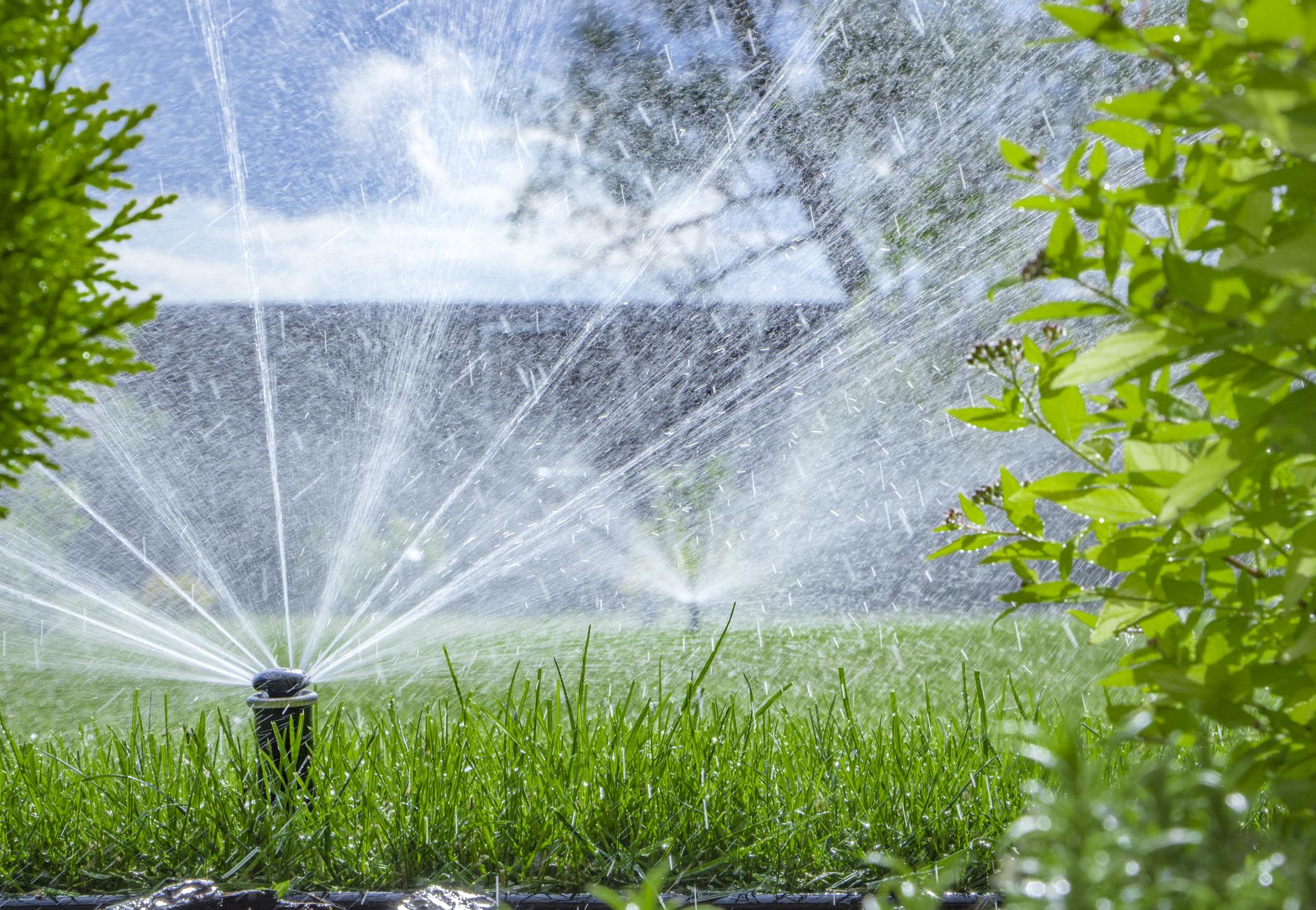 Should You Grow Your Landscape Company?