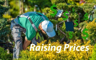 Raising Lawn & Landscape Prices – Example Follows