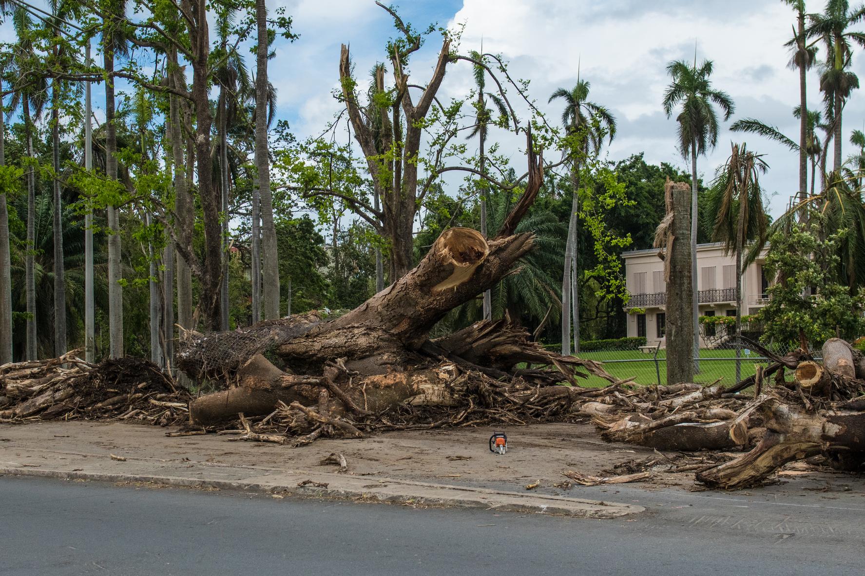 Ethical Storm Profits for Lawn and Landscape Contractors?