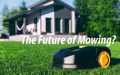 The Future of Mowing?