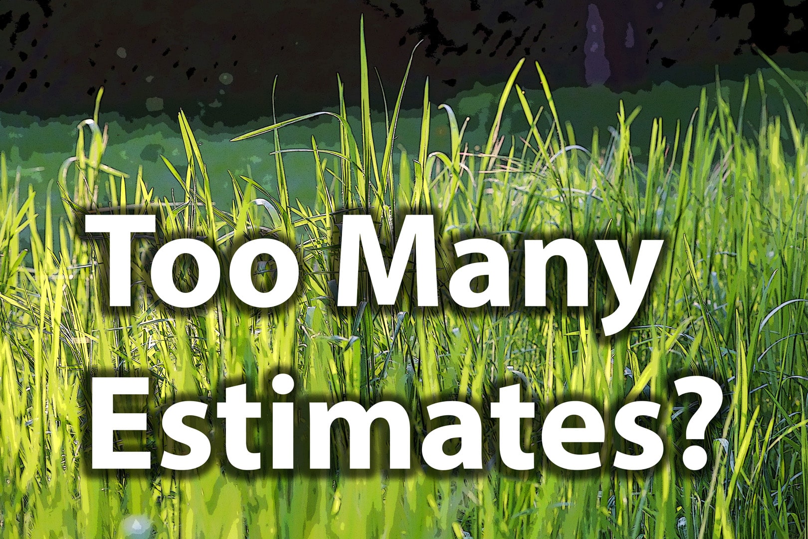 Too Many Estimates?