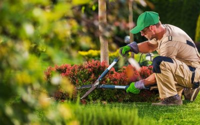 Why the Wealthy Landscaper Must Earn 3X–5X Industry Average Profits…