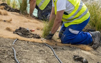 CAN’T FIND GOOD HELP?