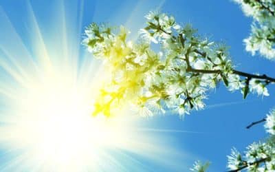 Spring Has Arrived… and So Has Your Opportunity