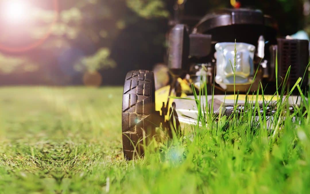 Get Better Landscaping Employees-Here’s How…