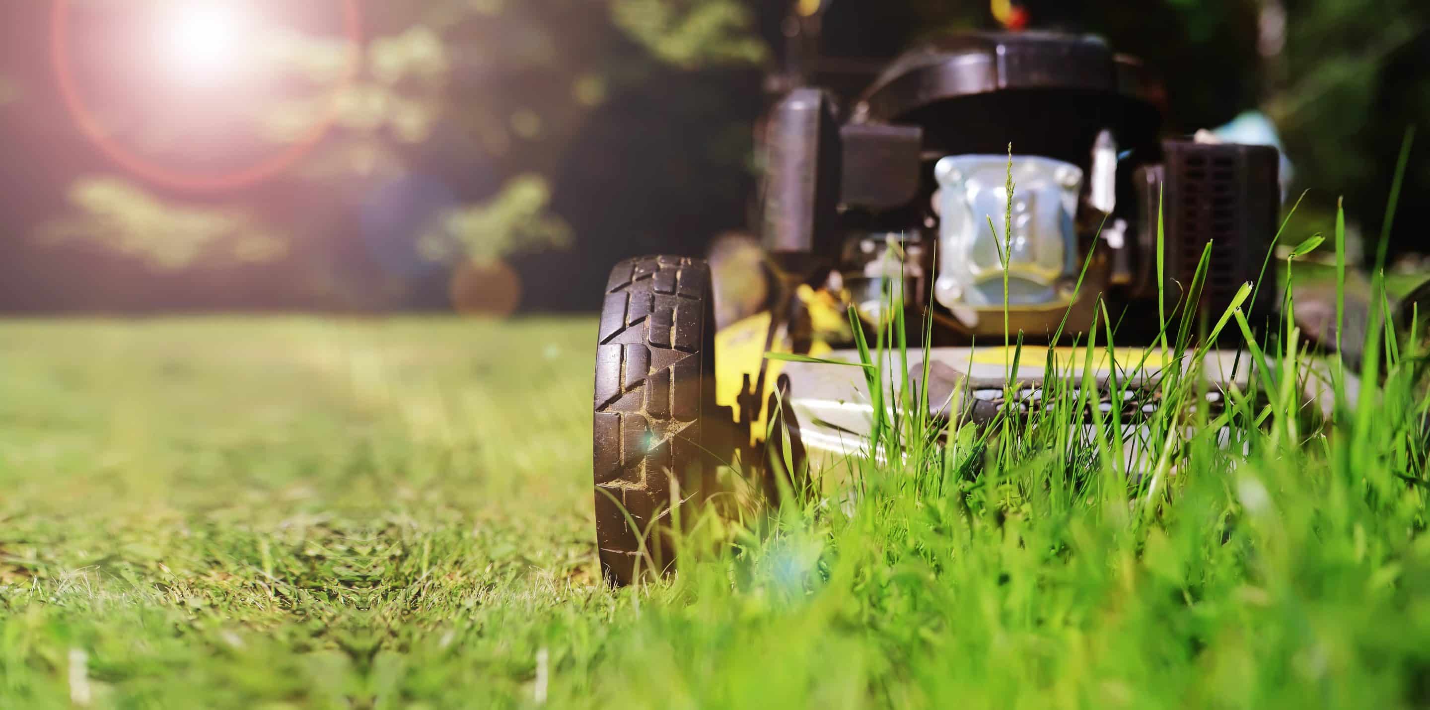 Get Better Landscaping Employees-Here’s How…